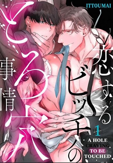 Koi suru Bicchi no Toro Ana Jijou