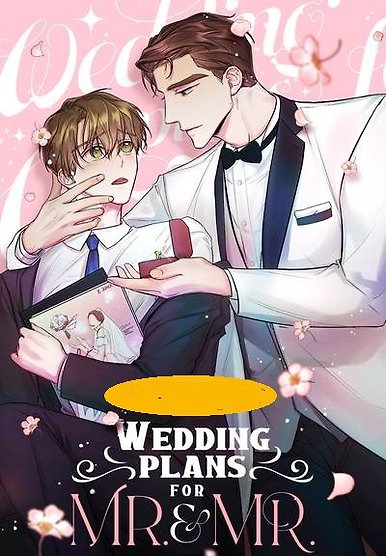 Wedding Plans for Mr. & Mr.
