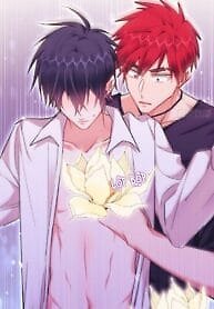 Dare To Hurt My Little Potato Again?