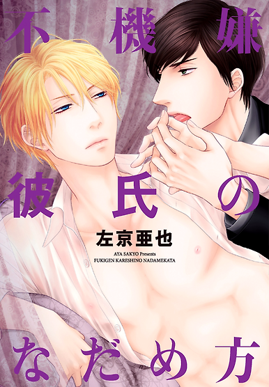 Fukigen Kareshi no Nadamekata