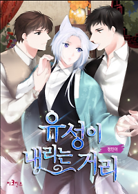 To Catch a Falling Star
