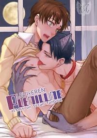 Plenilune - Attack on Titan dj