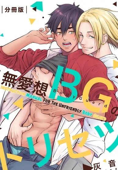 Instruction Manual for the Unfriendly Bodyguard