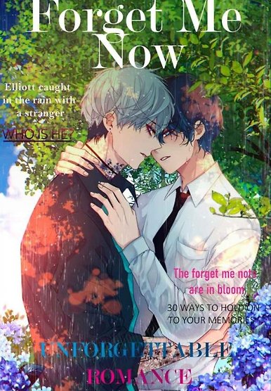 Forget Me Now (BL)