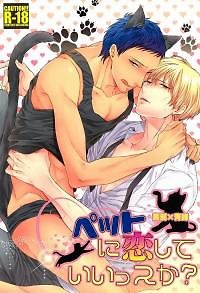 Kuroko no Basuke dj - Pet ni Koishite Iissu ka