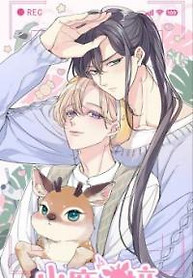 Cover of Deer Flutter