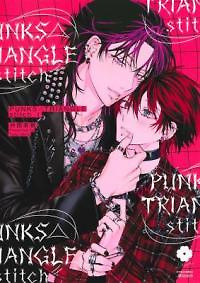 Cover of Punks Triangle Stitch