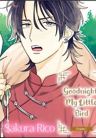 Good Night, My Little Bird