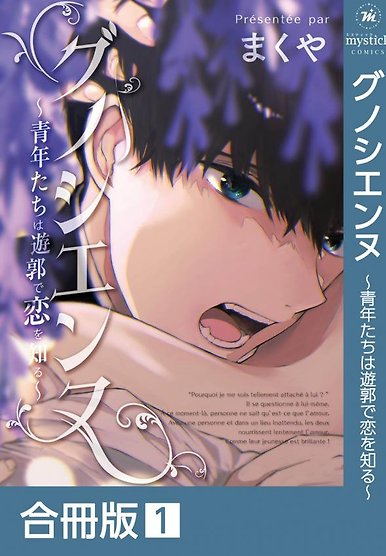 Gnossiennes: Two Young Men Learn About Love at a Brothel (Compiled Edition)