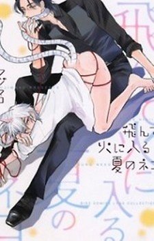 Tonde Hi ni Iru Natsu no Neko
