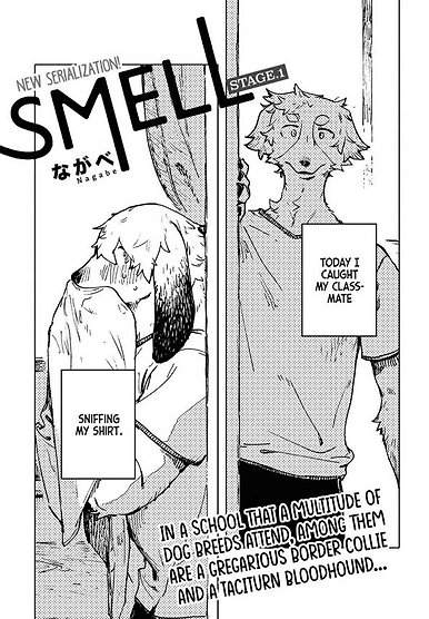 SMELL