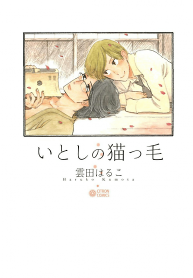 Itoshi no Nekokke