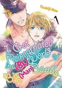 I Got Reincarnated in a Boobs