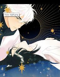 Cover of Polar Night (Yongzhe)