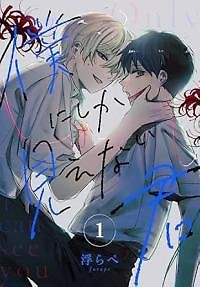 Boku ni shika Mienai Kimi