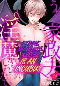 I Think My Housekeeper Is an Incubus