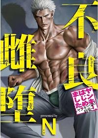 Furyou Mesu Ochi